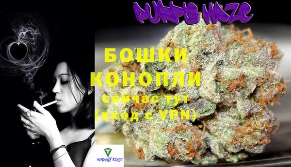 дмт Верея