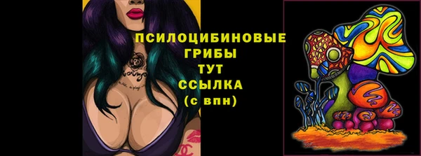 гидропоника Верхнеуральск