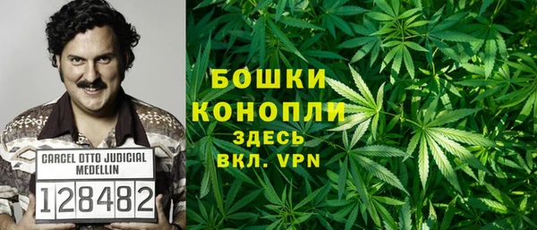 дмт Верея