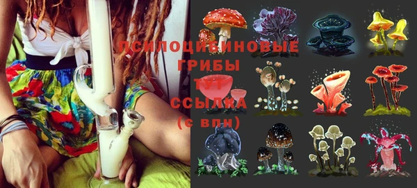 дмт Верея